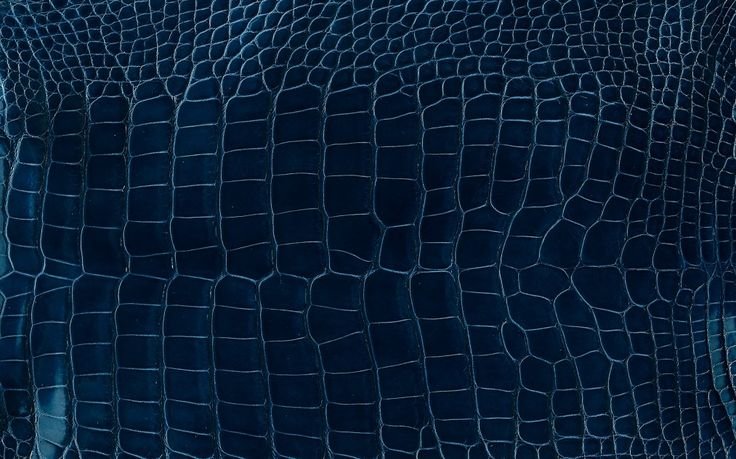 «Кожа крокодила»