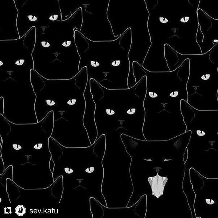 Паттерн кот