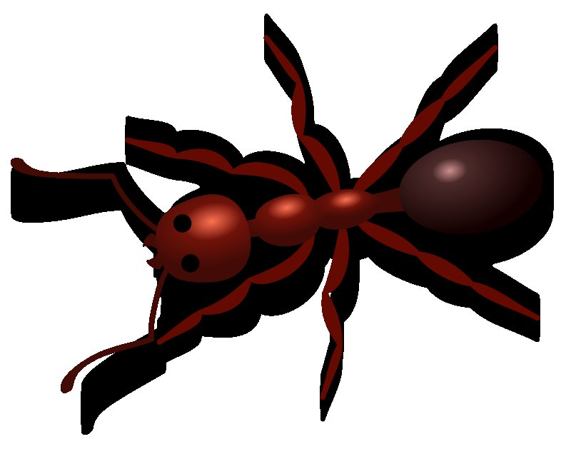 Насекомые на прозрачном фоне