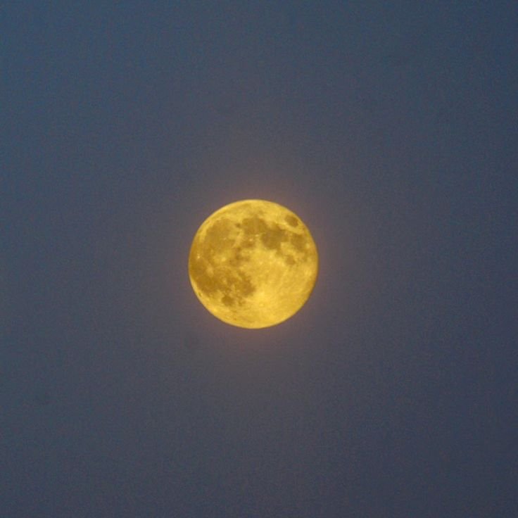 Луна желтая большая