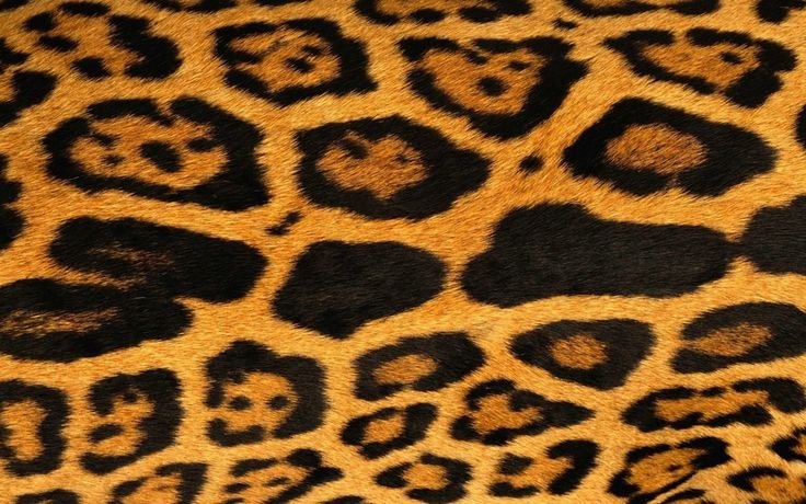 Леопард паттерн