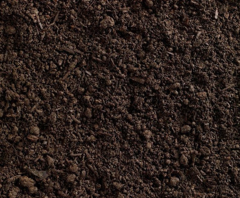 Земля грунт
