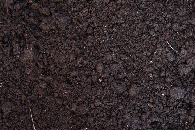 Земля грунт