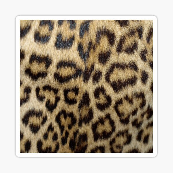 Шерсть леопарда