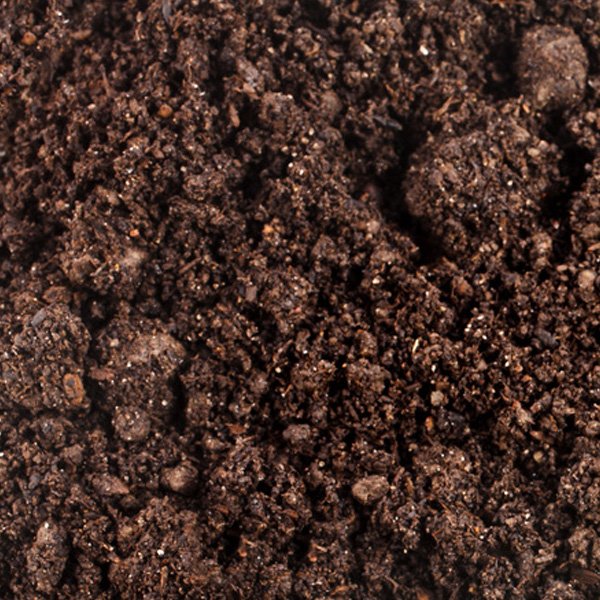 Торф низинный