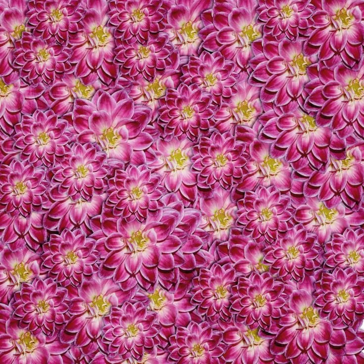 Цветочный фон