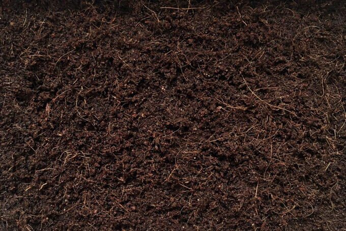 Темная почва