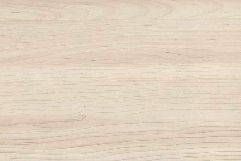 H3860 st9 клен сахарный шампань