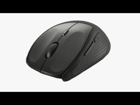 Мышка вид сверху