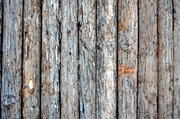 Дерево доска