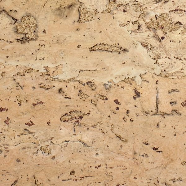 Пробковое дерево фактура