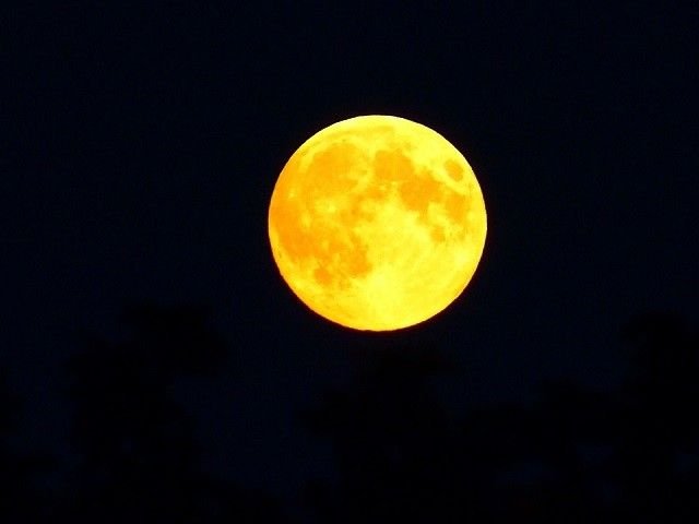 Желтая Луна