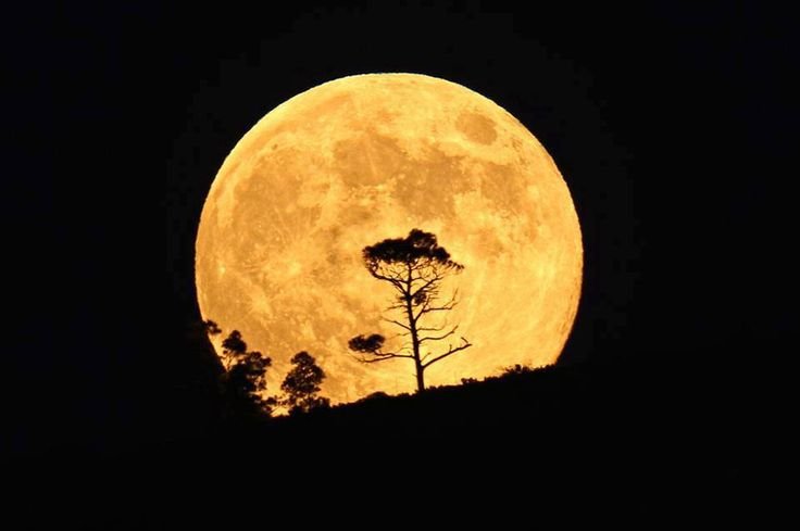Желтая Луна