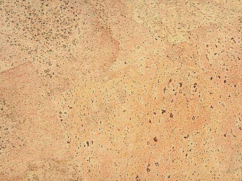 Пробковое дерево текстура