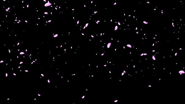 Летящие лепестки