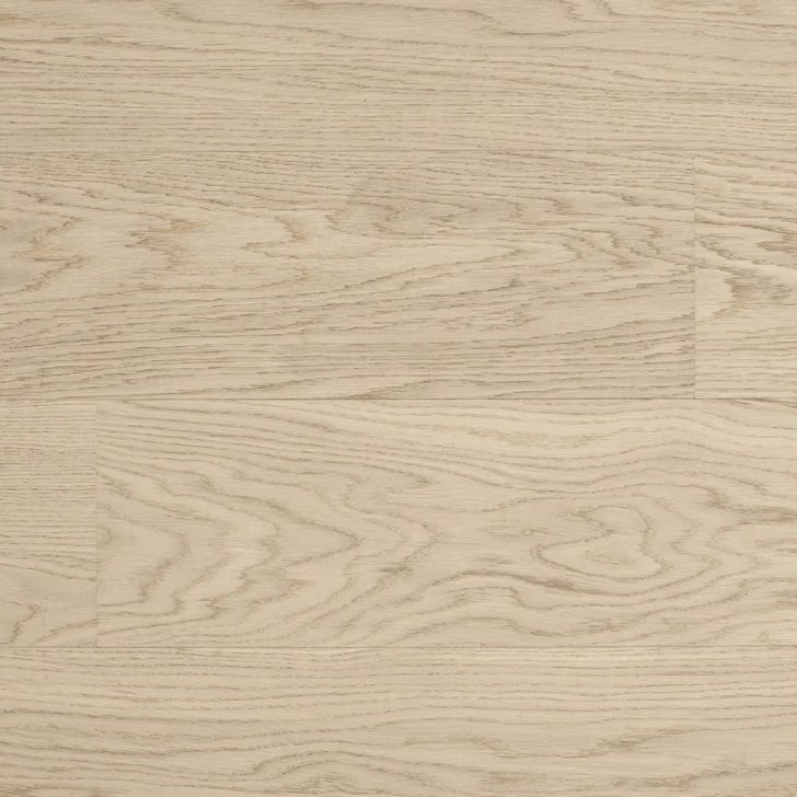 дуб тортуга