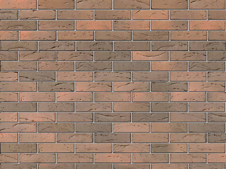 Брайер кора дуба