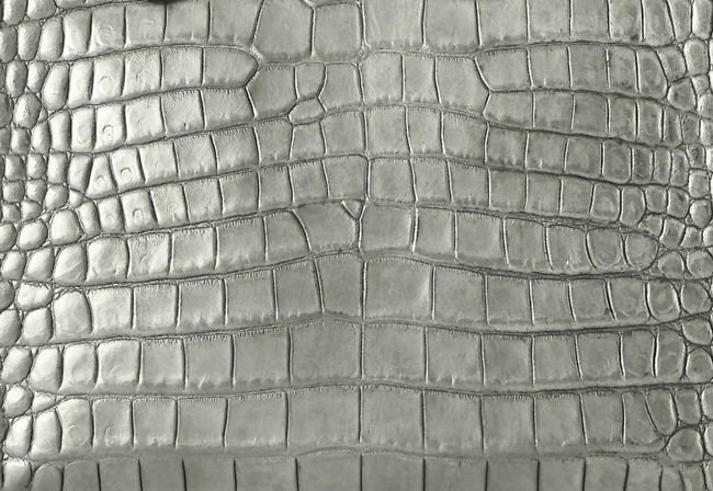 Кожа крокодила текстура