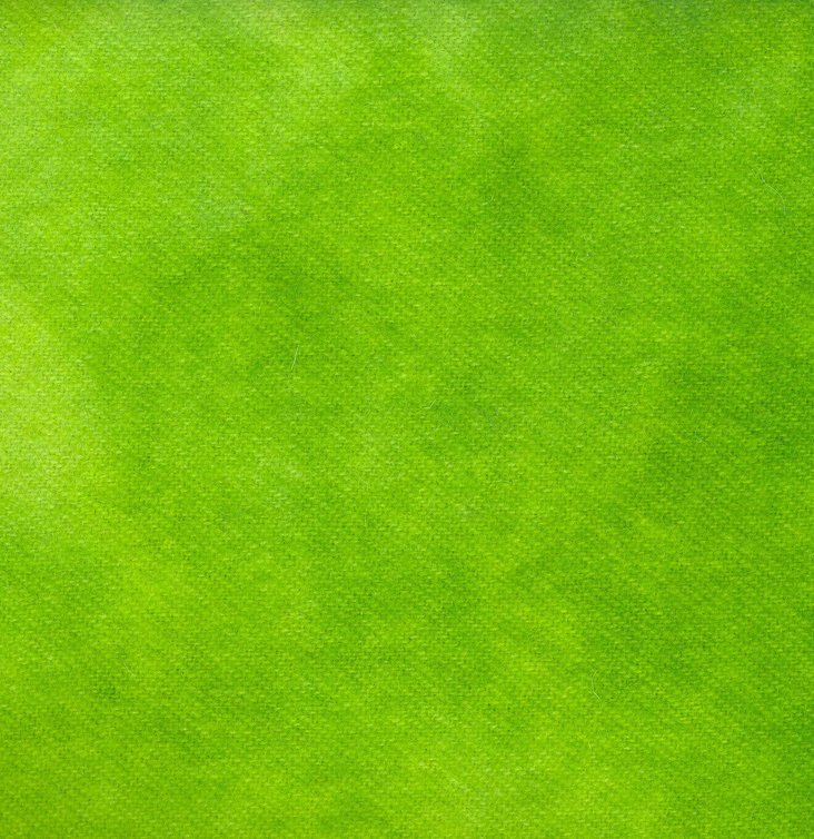 Лаймовый зеленый цвет