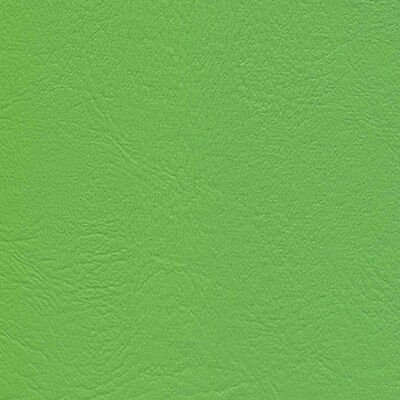 Лаймовый цвет