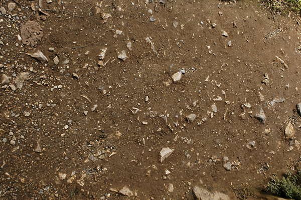 Грунт текстура