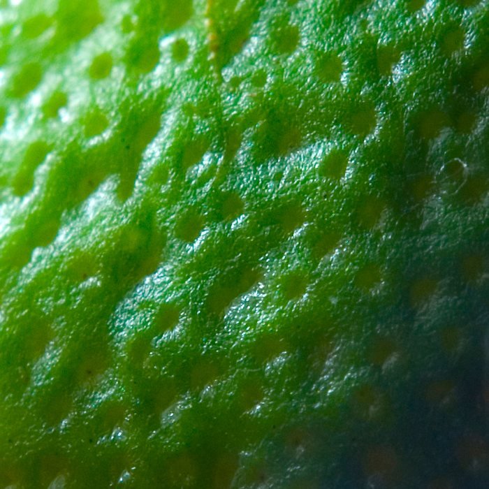 Кожура Лайма