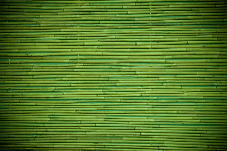 Зеленый бамбук