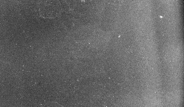 Скан пленочного зерна Ilford Delta 400pr