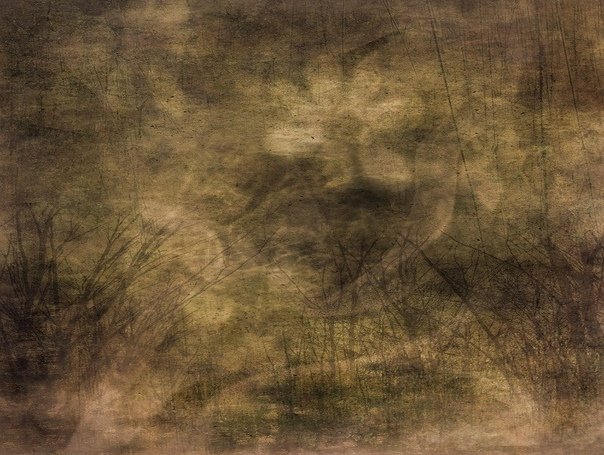 Фон для портрета