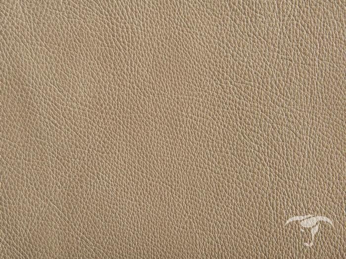 Бежевая кожа