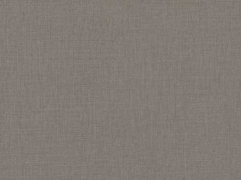 F433 st10 лен антрацит