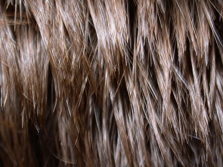 Текстура волос