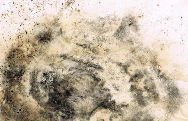 Текстура пятна