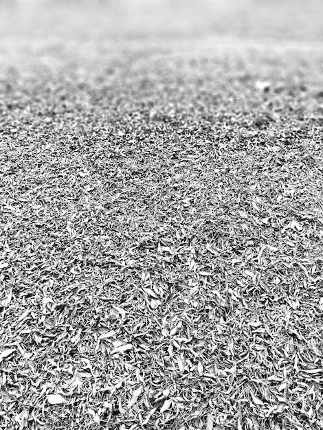 Зола рисовой шелухи