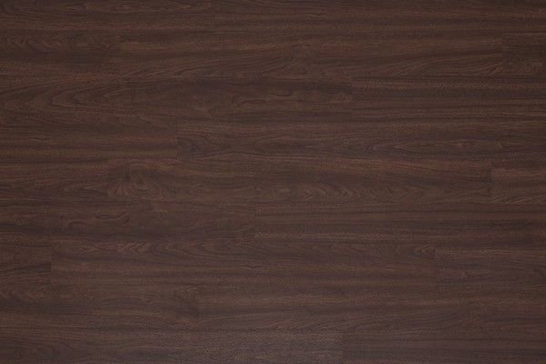 Эггер американский орех