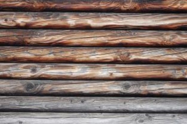 Текстура бревна