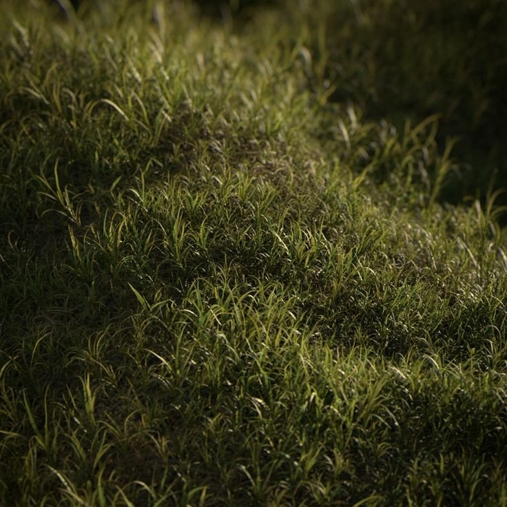 Текстура травы