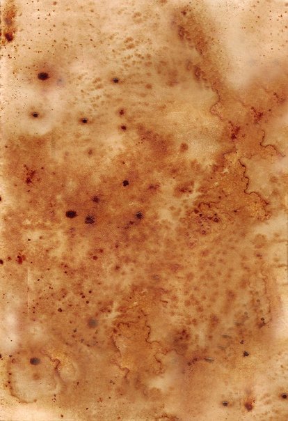 Кофейные пятна на бумаге