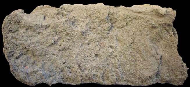 Алевролит Горная порода