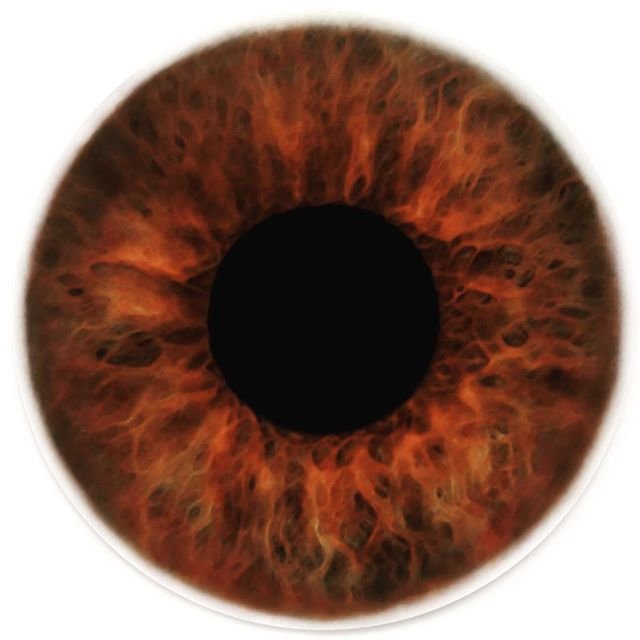 Коричневая радужка глаза