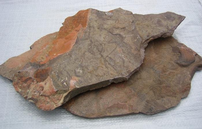 Алевролиты и аргиллиты