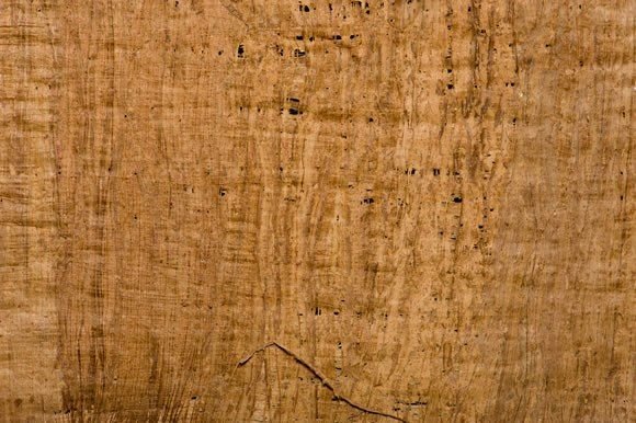 Папирус фон