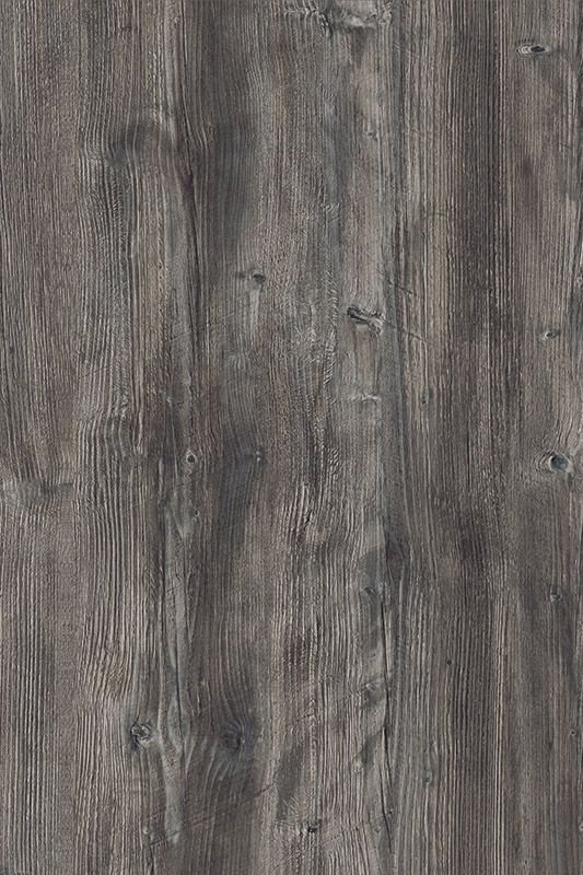 Сосна Пасадена h1486 st36