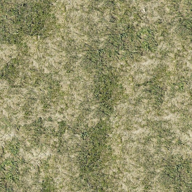 Текстура травы