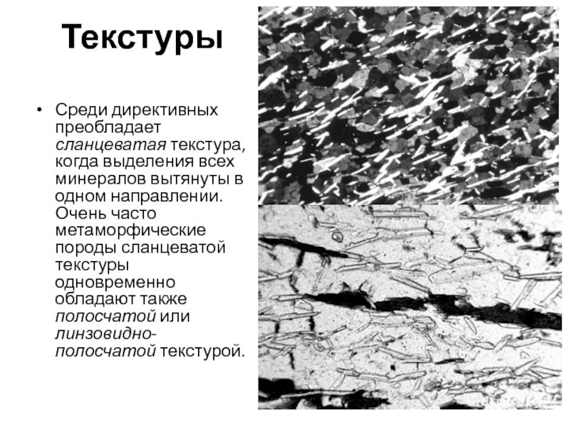 Директивная текстура