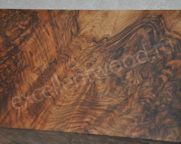 Слэб грецкого ореха