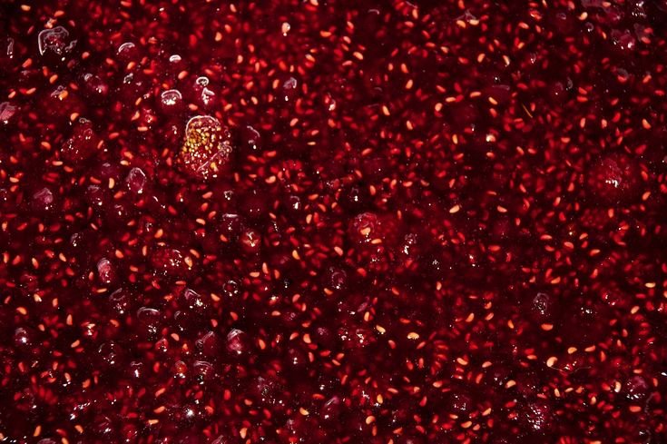 Бордовые ягоды