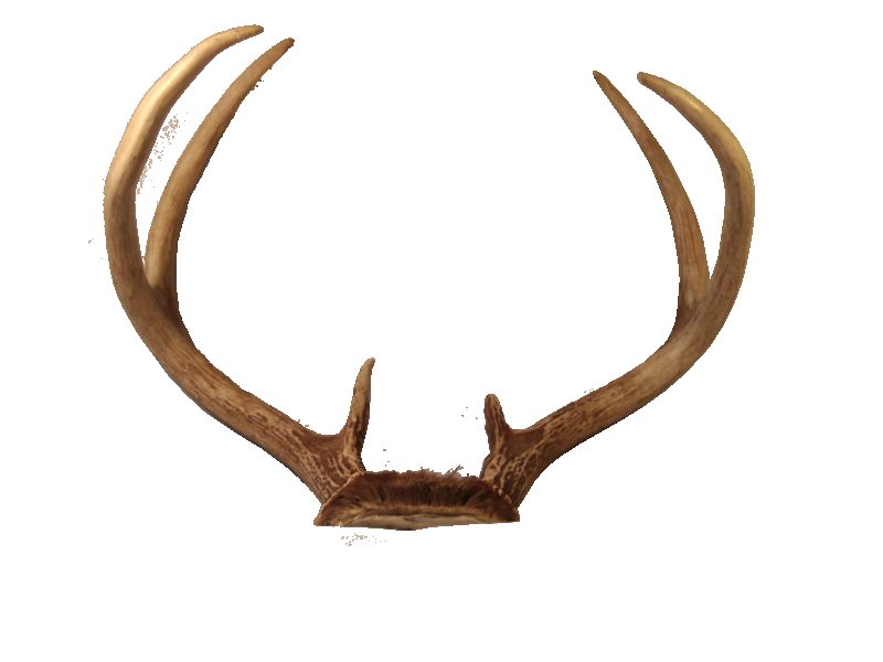 Оленьи рога