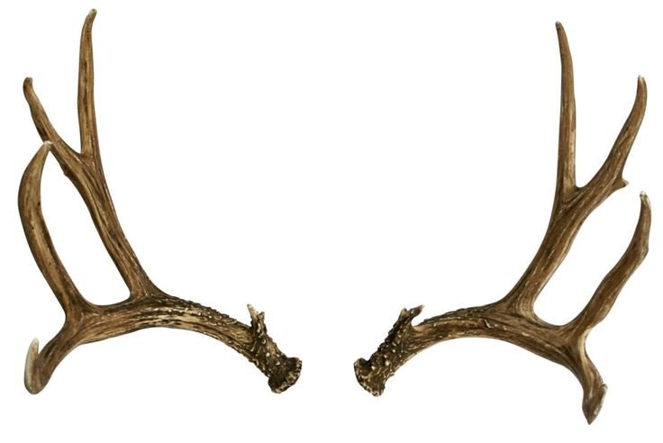 Олень с розами