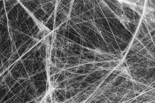 Паутина текстура